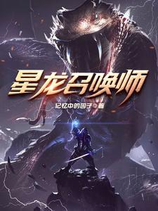 星龙骑士